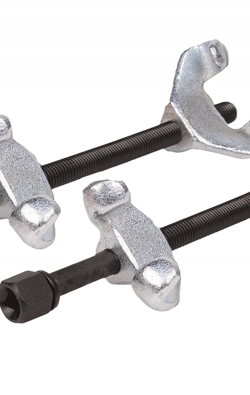 شداد الربيع Gr.1