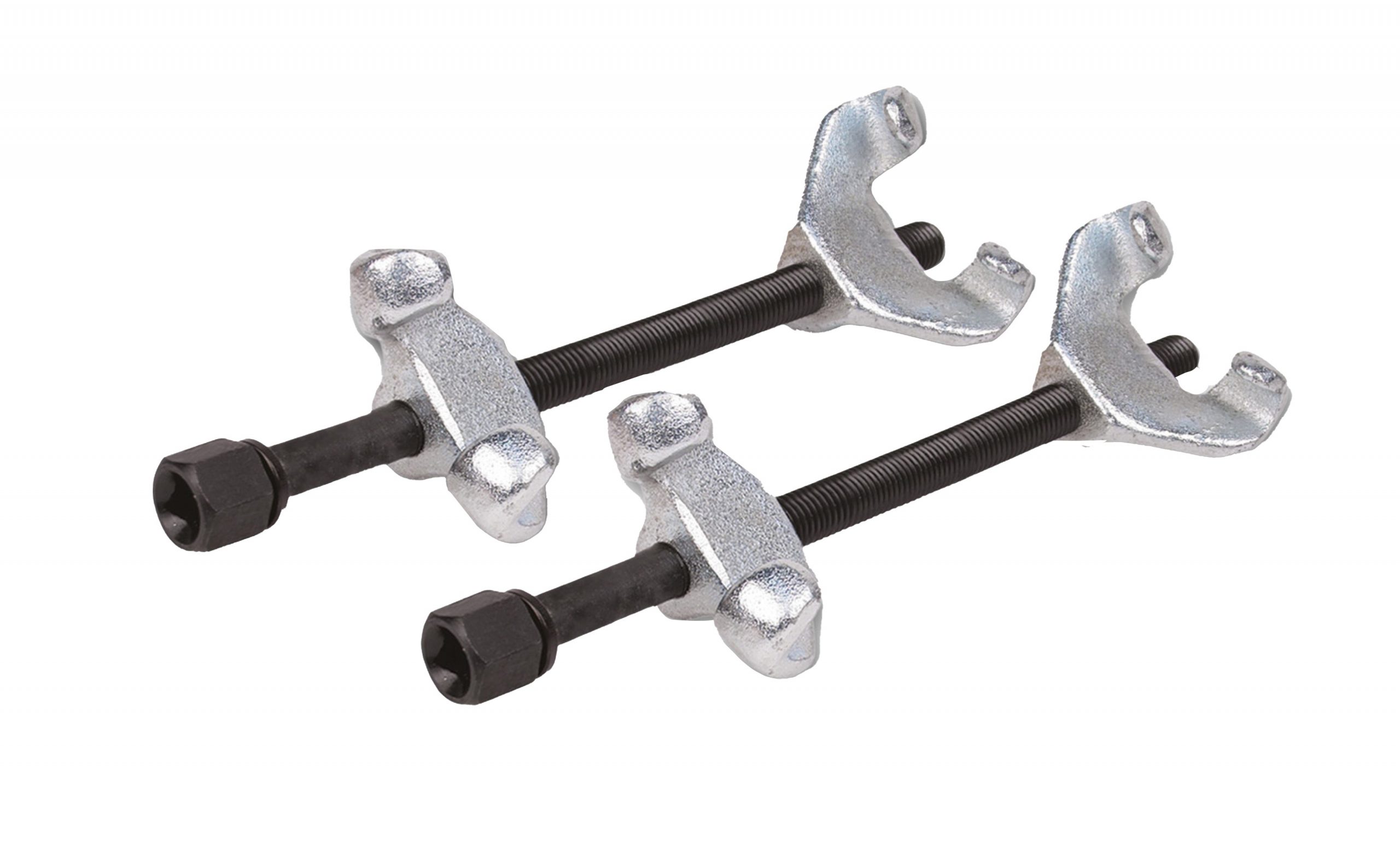 شداد الربيع Gr.1