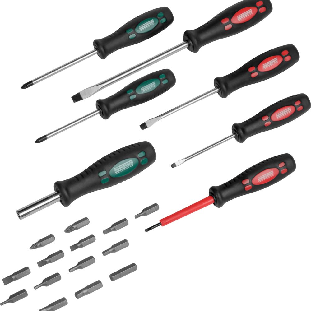 مجموعة مفك البراغي 21 قطعة ، مع البتات