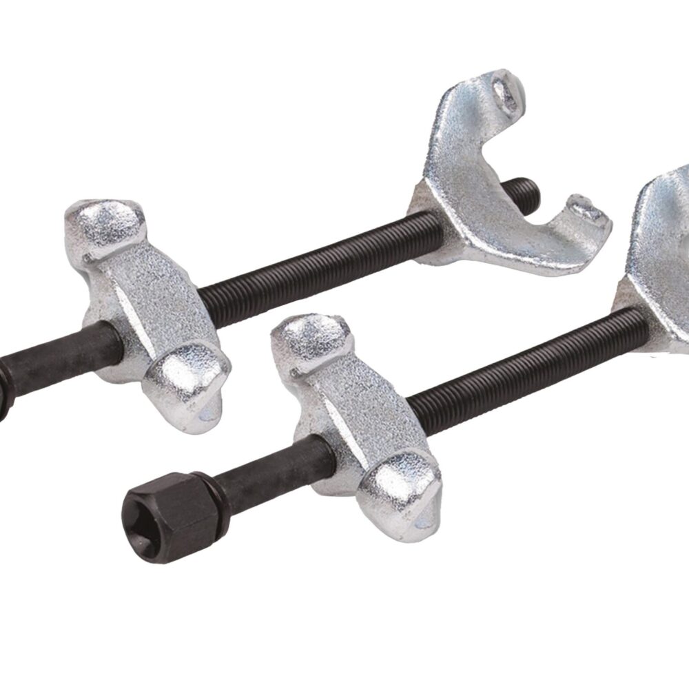 شداد الربيع Gr.1