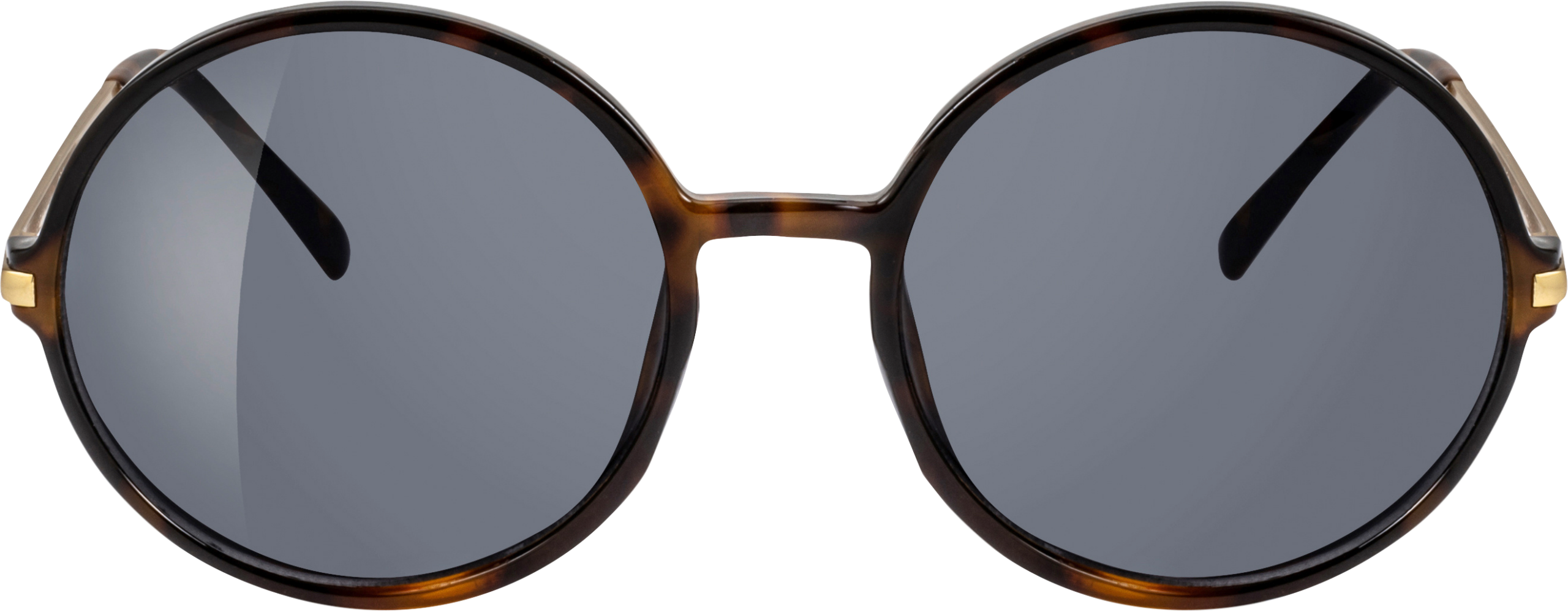 ساندانس نظارة شمسية إطار ذهبي للبالغين، عدسات مستديرة، 1 قطعة