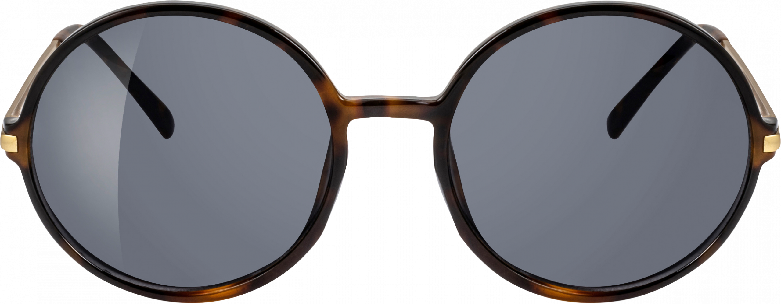 ساندانس نظارة شمسية إطار ذهبي للبالغين، عدسات مستديرة، 1 قطعة