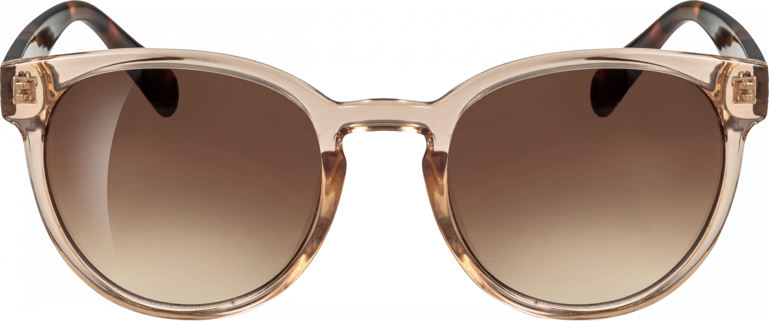 ساندانس نظارة شمسية للبالغين بإطار بني فاتح شفاف مع عدسات بنية ملونة ، 1 قطعة